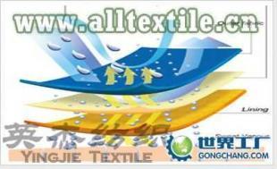 供應滌綸針織尼龍復合面料 尼龍針織尼龍復合面料_紡織、皮革_世界工廠網中國產品信息庫